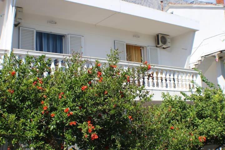 פרומאינה Apartments Zika מראה חיצוני תמונה